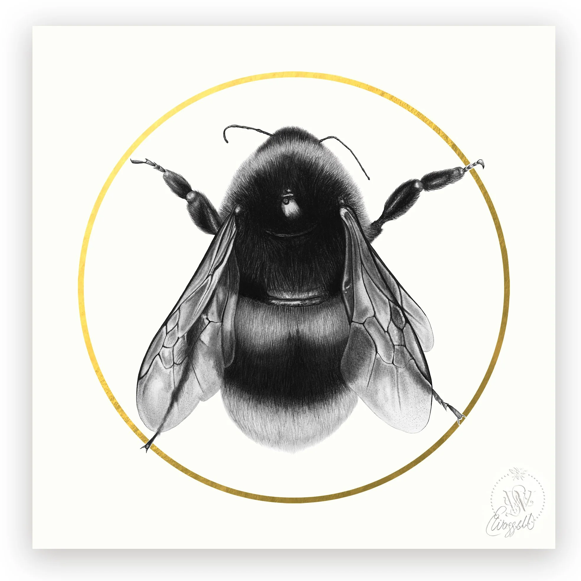 apBee+paper+shadow.jpg?format=